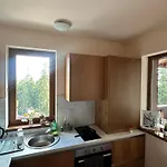 гранд ризорт с камином и видом на лес Pamporovo