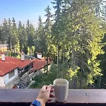 Apartment гранд ризорт с камином и видом на лес Pamporovo