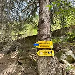 Apartment гранд ризорт с камином и видом на лес Pamporovo