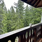 гранд ризорт с камином и видом на лес Pamporovo
