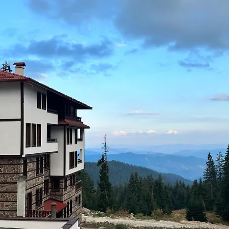 гранд ризорт с камином и видом на лес *