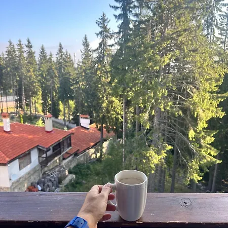 гранд ризорт с камином и видом на лес Pamporovo