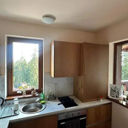 Apartment гранд ризорт с камином и видом на лес Pamporovo