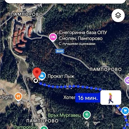 гранд ризорт с камином и видом на лес Apartment Pamporovo