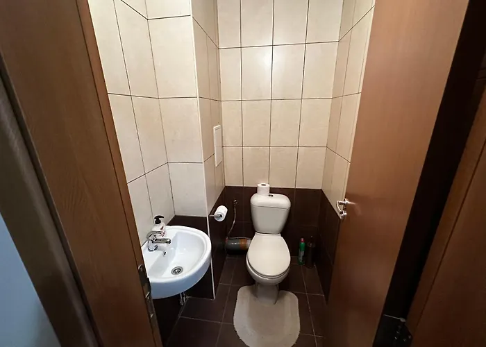 гранд ризорт с камином и видом на лес Pamporovo