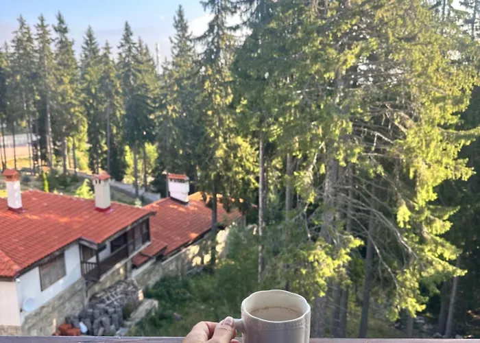 гранд ризорт с камином и видом на лес Pamporovo