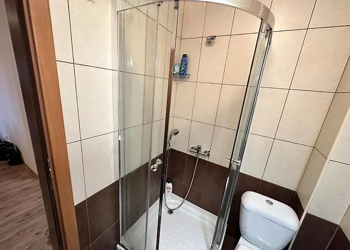 гранд ризорт с камином и видом на лес Pamporovo