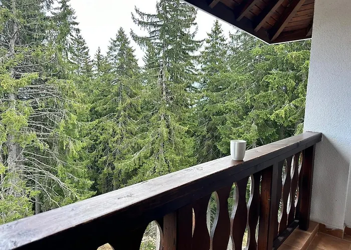 Apartmán гранд ризорт с камином и видом на лес *