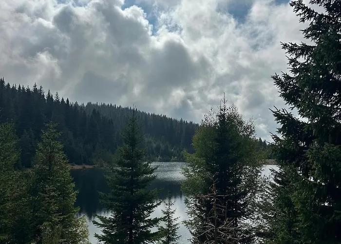 гранд ризорт с камином и видом на лес * Pamporovo