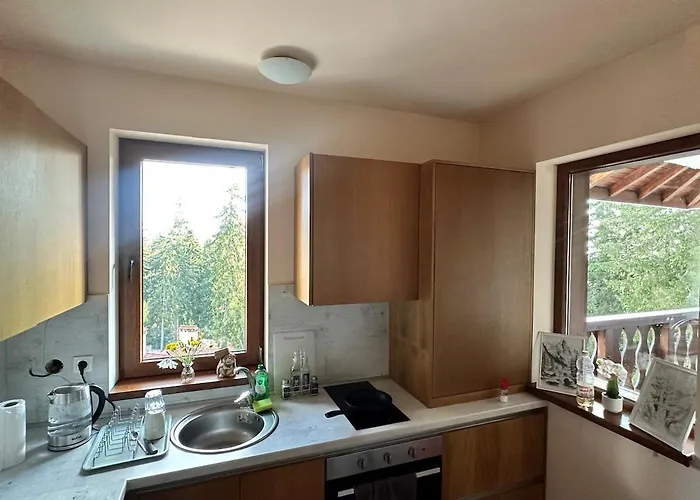 Apartmán гранд ризорт с камином и видом на лес Pamporovo