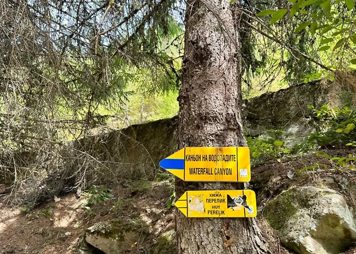 Apartmán гранд ризорт с камином и видом на лес Pamporovo