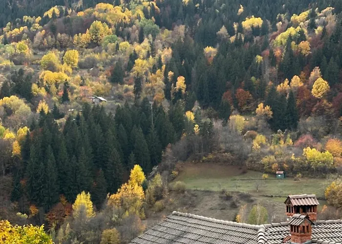 гранд ризорт с камином и видом на лес * Pamporovo