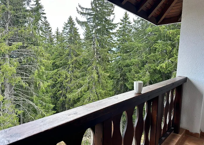 гранд ризорт с камином и видом на лес Pamporovo